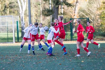 Bild 22 - F Hamburger SV 3 - Walddoerfer SV 2 : Ergebnis: 5:2